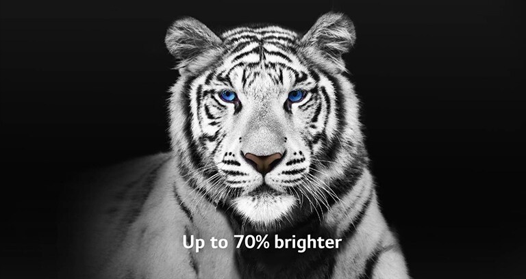 Une vidéo montrant 2 images d'un tigre blanc côte à côte. La face représentant l’amplificateur de luminosité Booster Max apparaît jusqu'à 70 % plus lumineuse* et remplit alors l'écran. 
