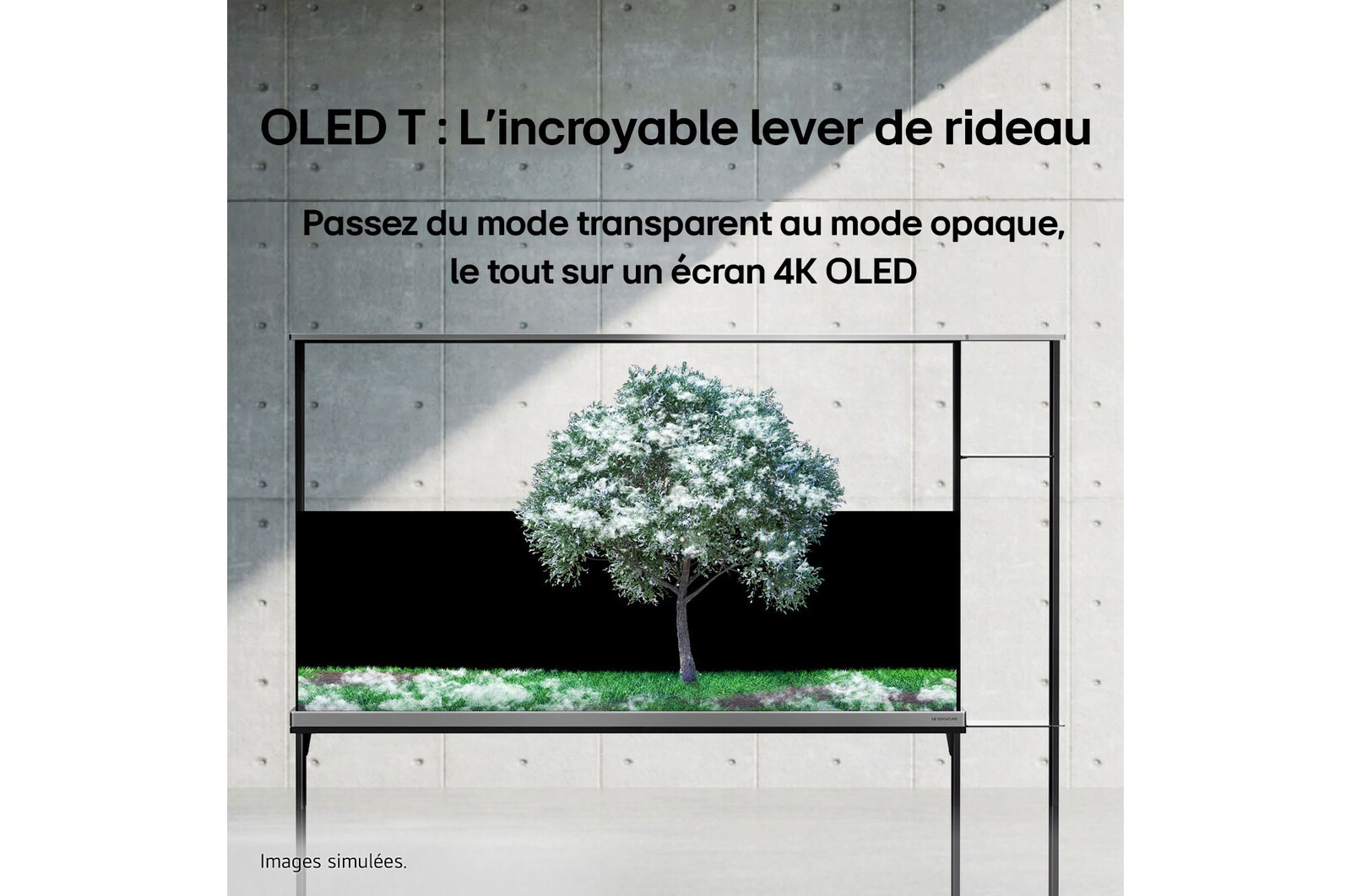 La LG SIGNATURE OLED T affiche une lune représentée au-dessus d’une rive sur l’écran transparent. La LG SIGNATURE OLED T se trouve au milieu d’une pièce avec une vue latérale sur la falaise qui donne sur la mer. Sur la droite se trouve un lit et une chaise longue. 
