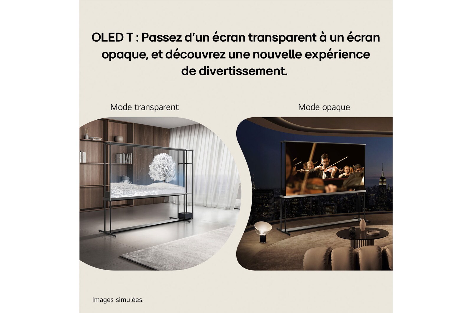La LG Signature OLED T est posée au milieu d’un salon moderne et représente une danseuse. Le boîtier Zero Connect est placé sur une petite table à côté du canapé.