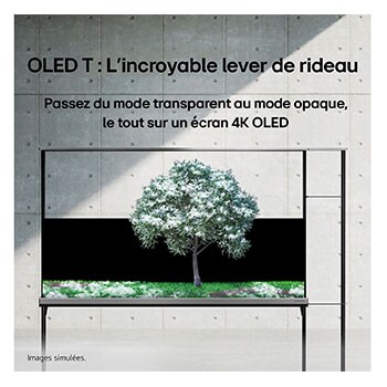 La LG SIGNATURE OLED T affiche une lune représentée au-dessus d’une rive sur l’écran transparent. La LG SIGNATURE OLED T se trouve au milieu d’une pièce avec une vue latérale sur la falaise qui donne sur la mer. Sur la droite se trouve un lit et une chaise longue. 