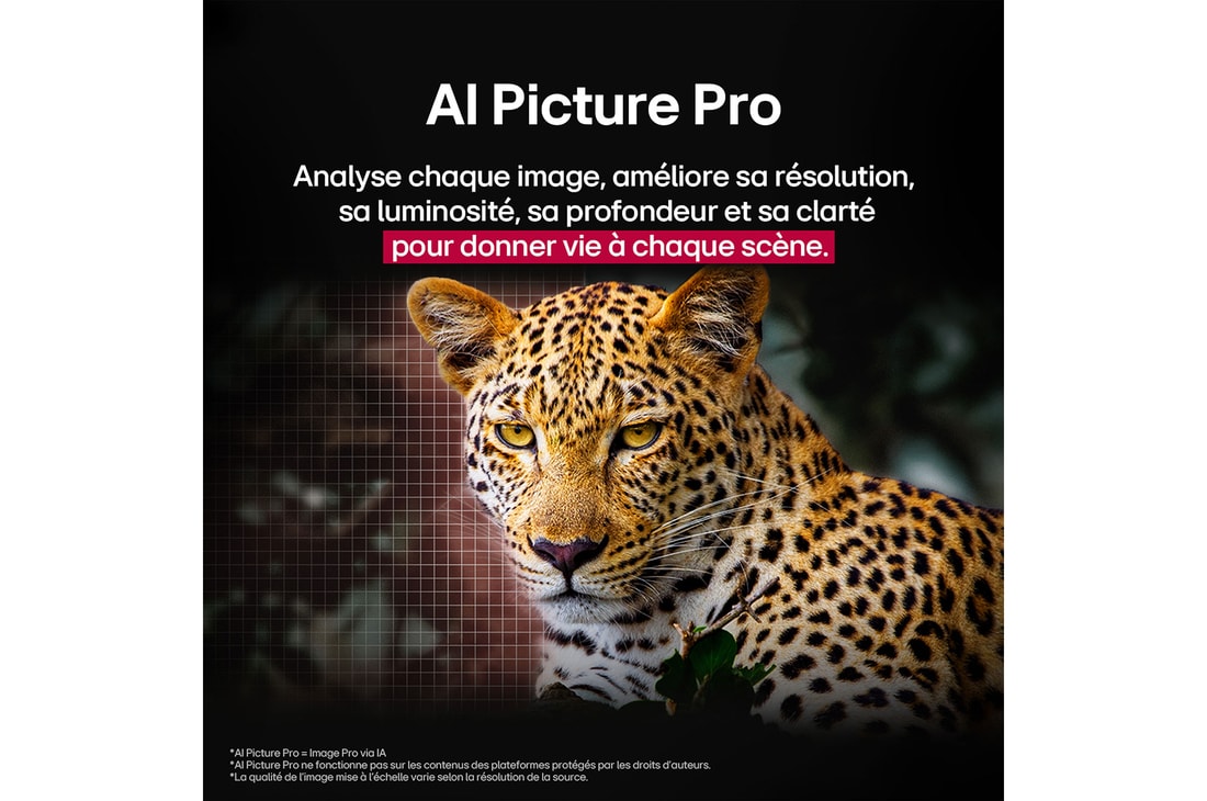 Leopard in the forest in vivid color and detail. The leopard has a grid and a light glowing behind it, indicating how LG AI Picture Pro made impressive visual enhancements to the scene's resolution, brightness, depth, and clarity.
