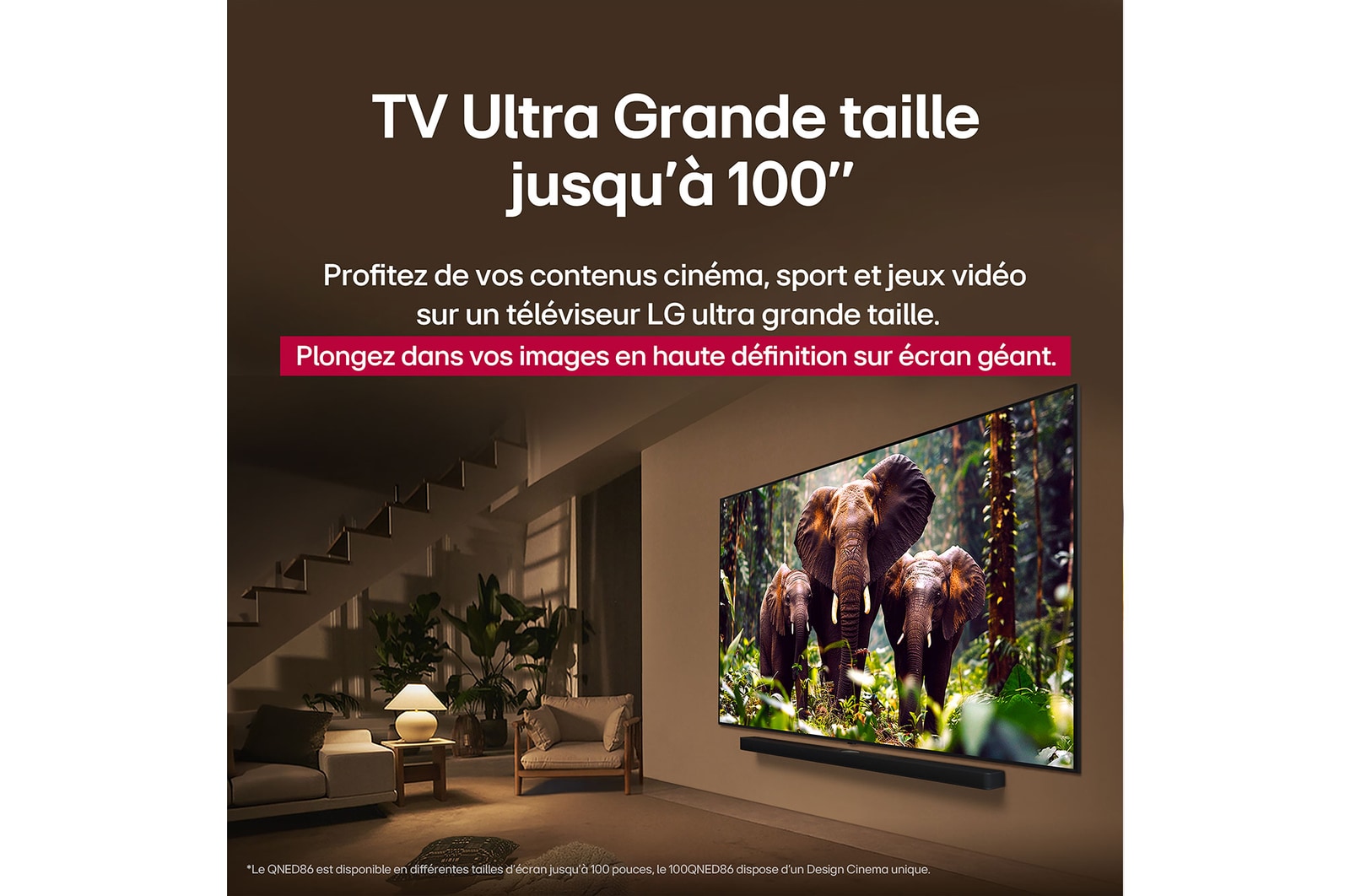 Une fille et un chien sont assis devant une LG QNED TV installée sur un mur représentant trois éléphants marchant vers l’extérieur au-dessus d’une LG Soundbar. Le titre évoque la façon dont chaque scène d’action est plus palpitante sur un très grand écran.
