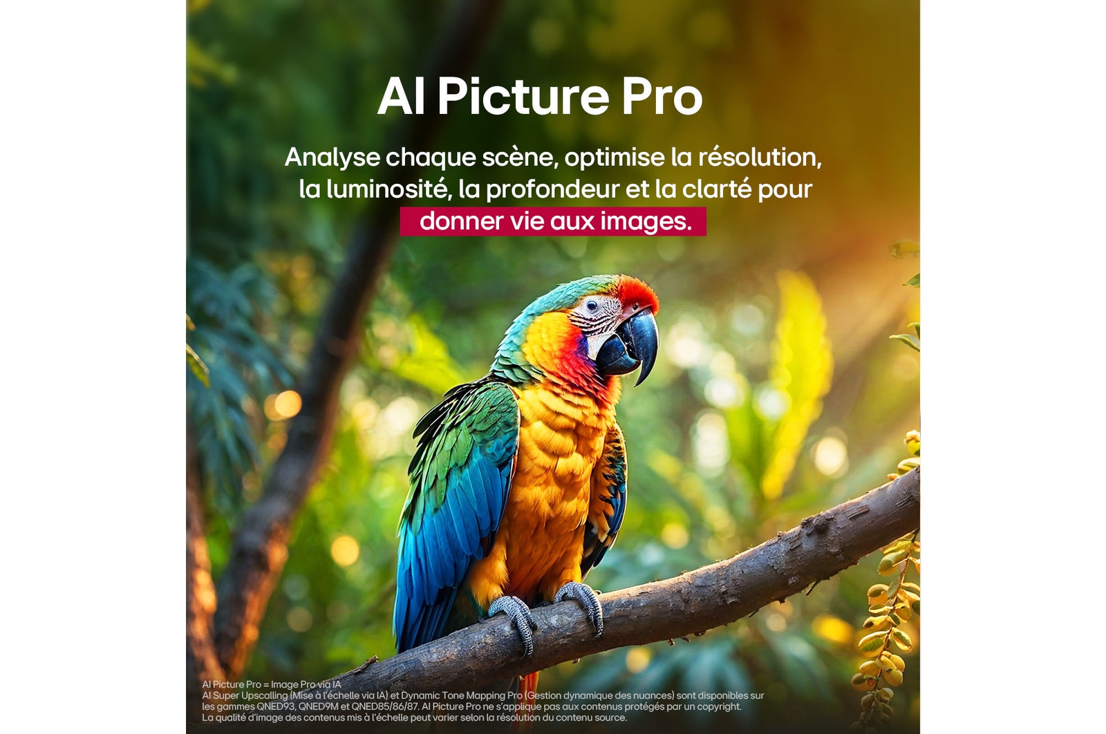 Une image de paysage d’une grotte donnant sur un ciel bleu clair, divisé au milieu, la moitié de l’image est estompée et l’autre moitié présente un contraste net. En bas à gauche se trouve une petite image de la façon dont les éclairages LED traditionnels sont placés et à droite se trouve une petite image de la façon dont les éclairages LG sont placés, de manière plus complexe. Le titre parle de la façon dont la technologie de variation de la précision offre une image plus nette.
