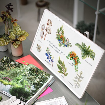 Le téléviseur StanbyME est placé juste devant un bureau sur lequel sont posés un magazine et de petites plantes. L’écran affiche une collection de différentes plantes et leur classification.