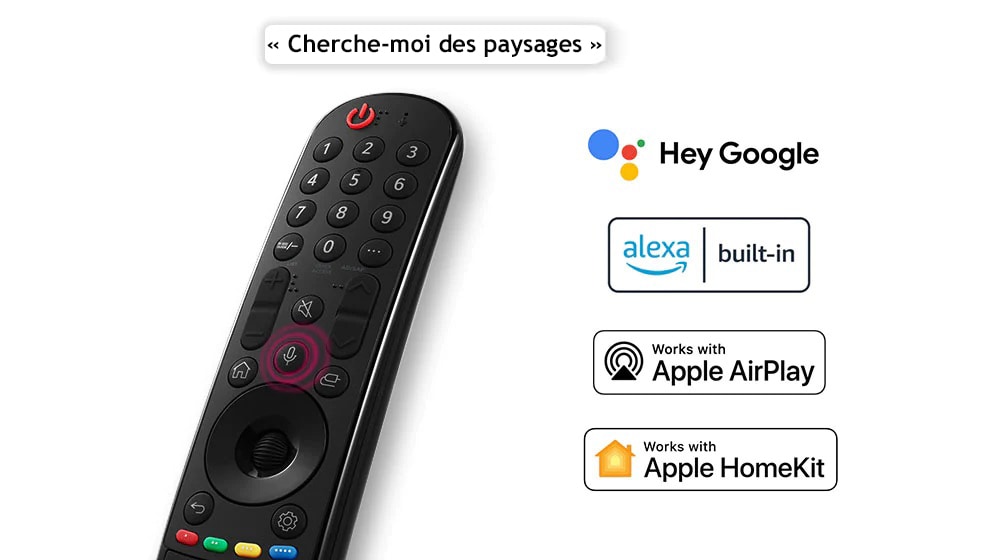 Une télécommande avec une bulle indiquant « Cherche-moi des paysages ». Les logos des services de streaming affiliés sont illustrés.