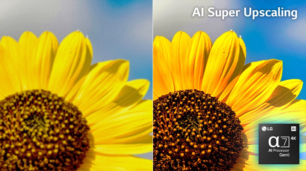 Une image de tournesol est affichée à gauche et à droite de l’écran divisée en deux. Avec AI Picture Pro, l’image de droite apparaît plus lumineuse et plus claire.