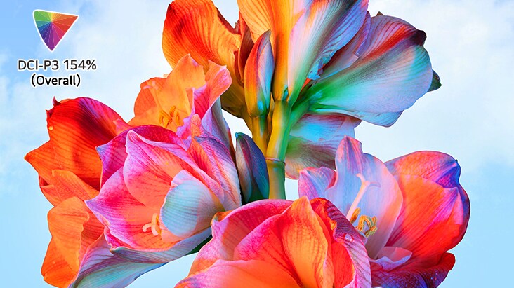 Image de fleur éclatante avec le logo couleur DCI-P3 154 % en haut à gauche	