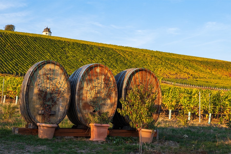 Three barrels in front of a winery in Rheingau.