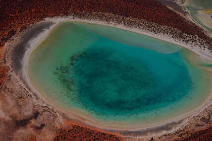 Bird's-eye view of Shark Bay.