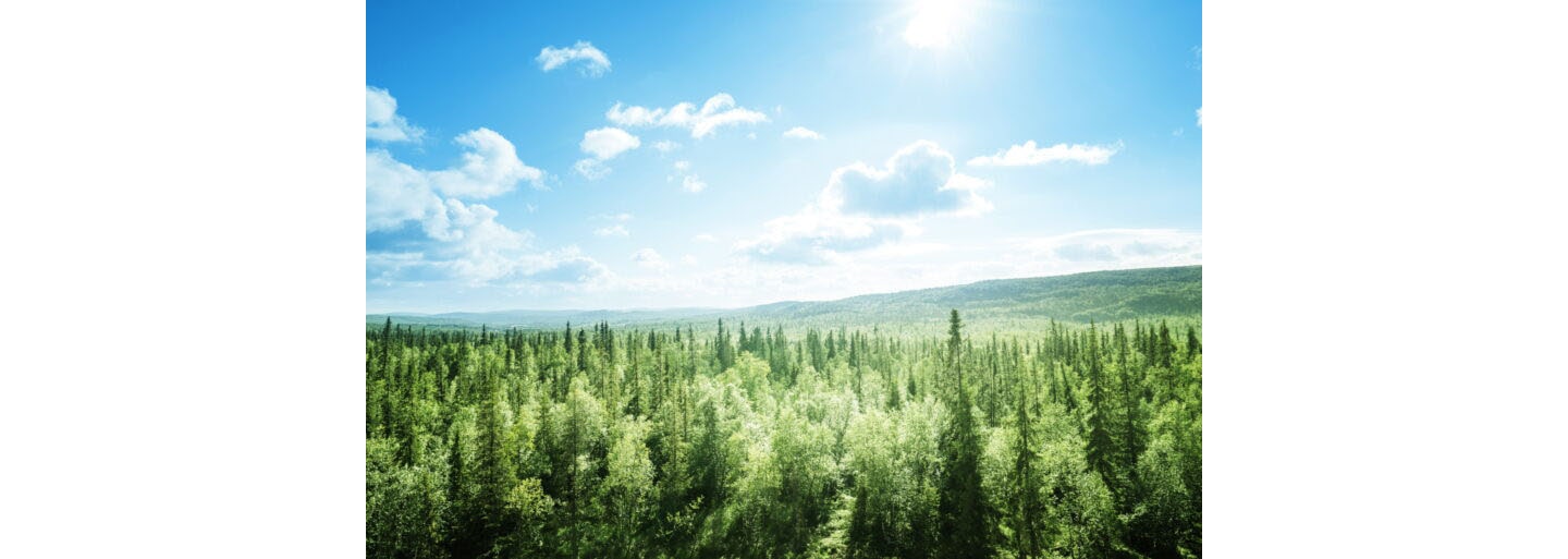 A Home That Takes Care of Your Life and Nature