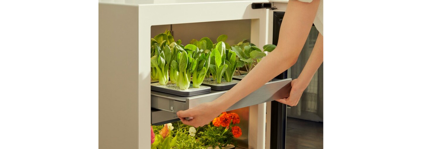 Someone sliding out the top drawer of LG tiiun to reveal vegetables growing in their seed packages.