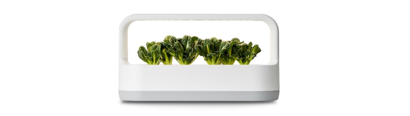 LG tiiun mini with fresh vegetables growing in their seed packages