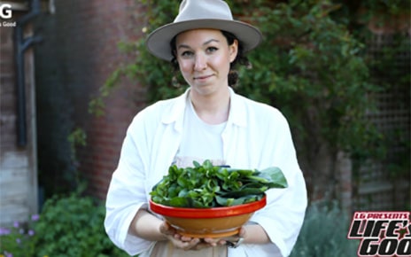 Making Life Better Through Low Impact Living