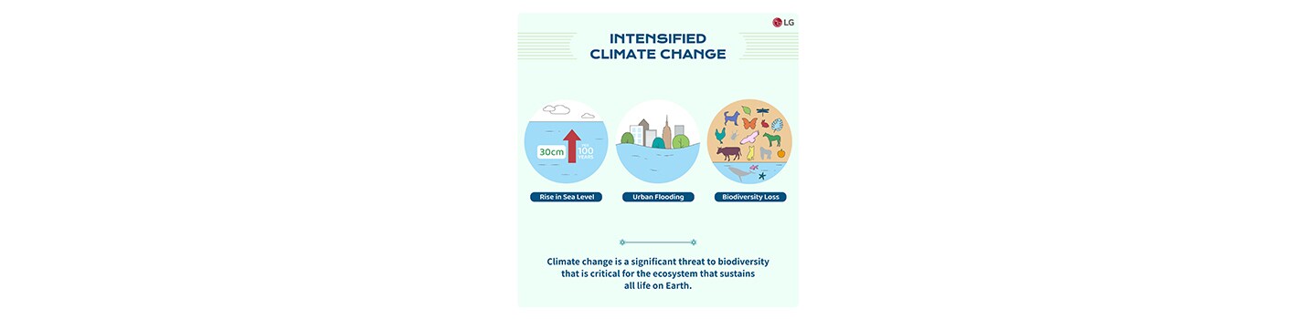 A page stating that rising sea levels, urban flooding and major biodiversity loss can be serious consequences of intensified climate change.