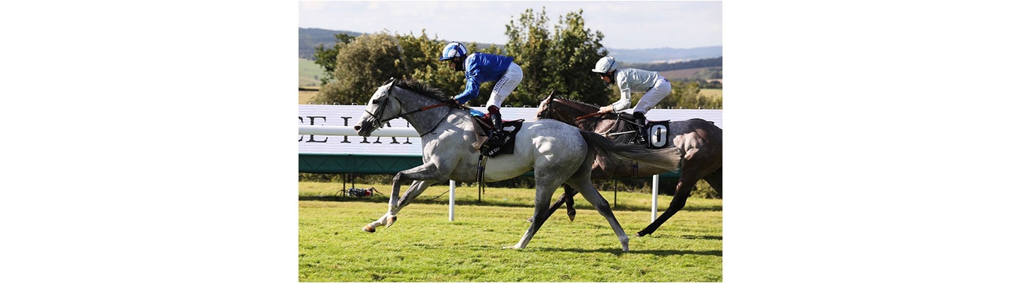 A DAY AT THE RACES, BRITISH STYLE