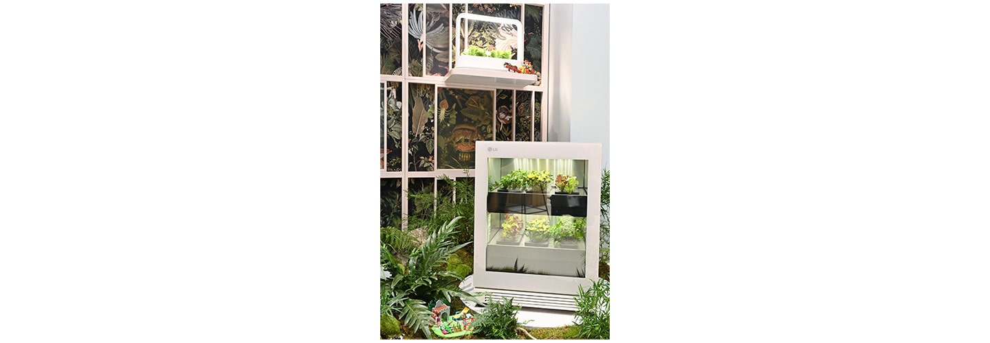 Bringing Plant Into the Home Interior: The Trendsetting LG tiiun