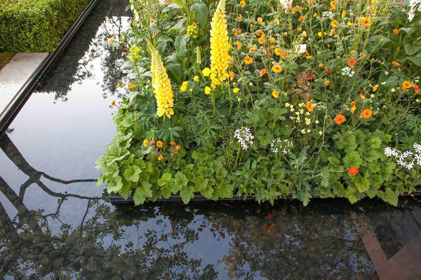LG REIMAGINES GREEN URBAN LIVING AT CHELSEA FLOWER SHOW