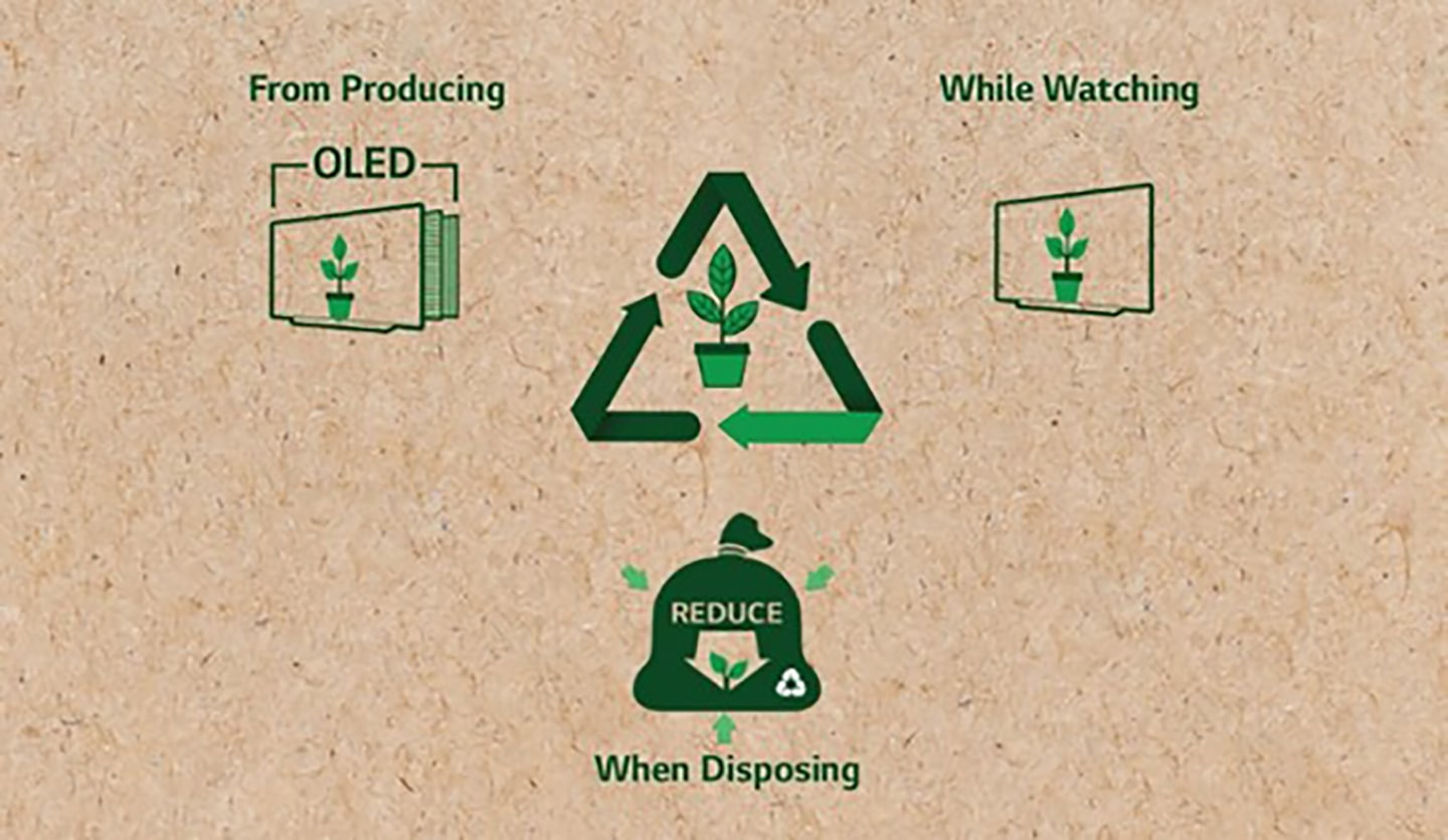 Observing World Environment Day With a Little Less Plastic