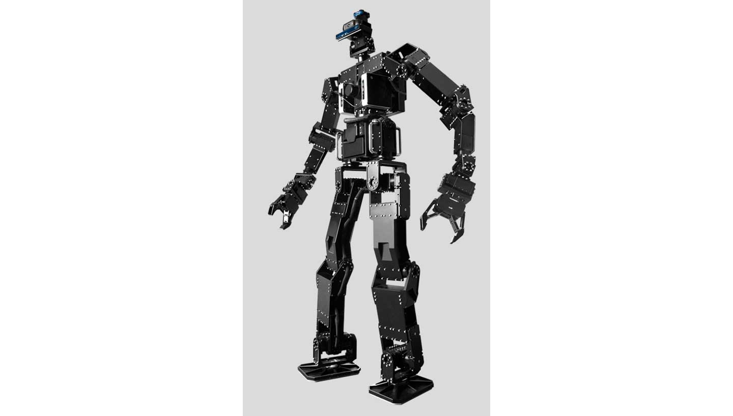 A sample image of the robot