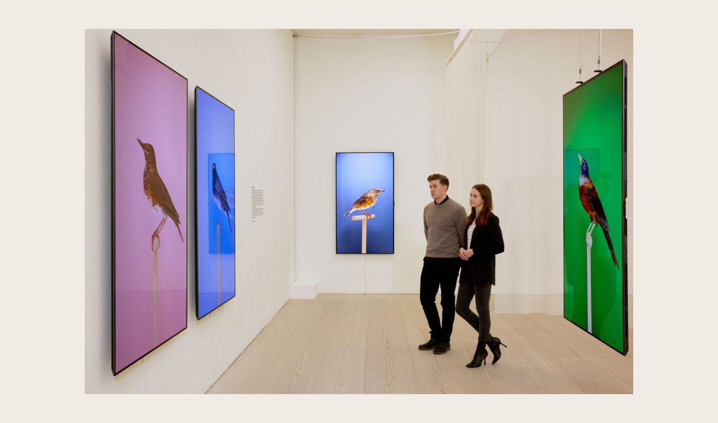 Two visitors viewing 'An Incomplete Dictionary of Show Birds' by Luke Stephenson