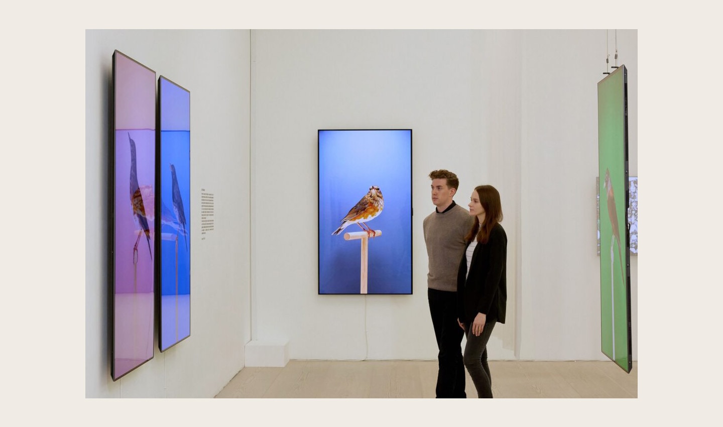 Two visitors viewing 'An Incomplete Dictionary of Show Birds' by Luke Stephenson