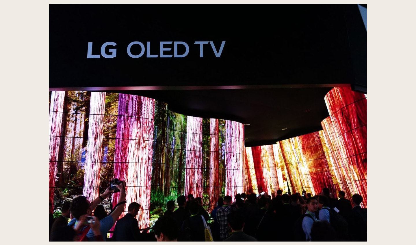 People standing before the entrance of the LG OLED Canyon and taking photos, LG OLED TV sign is visible above the canyon.