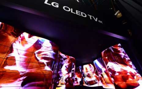 LG OLED CANYON