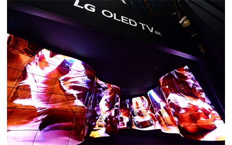 LG OLED CANYON