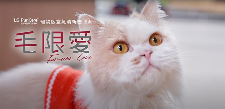 FUR-EVER LOVE