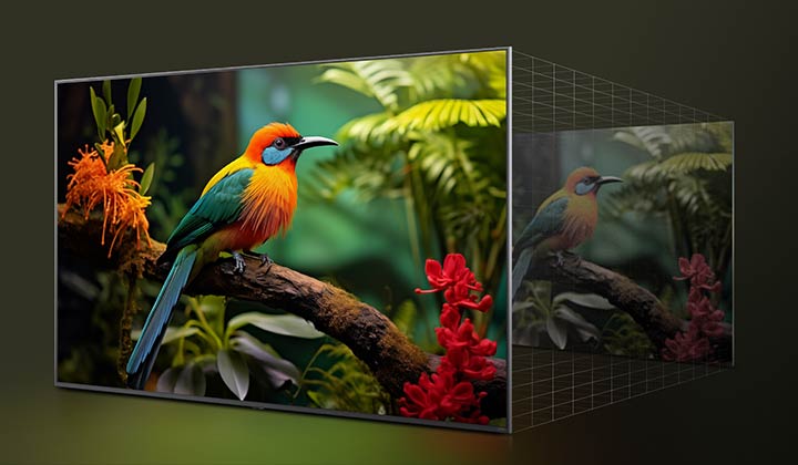 LG 4K Super Upscaling 技術改善畫質的前後比較。兩個面板展示相同圖像,一隻色彩鮮豔的鳥兒坐在森林中的樹枝上,右邊的畫面已褪色。標題提及 4K Super Upscaling 如何提升解像度、亮度和清晰度。