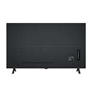 LG OLED B4 TV 的後面視圖