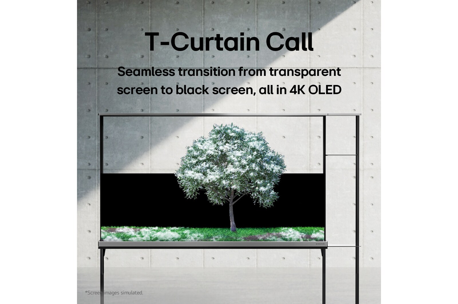 LG SIGNATURE OLED T 顯示被雪覆蓋的綠樹。