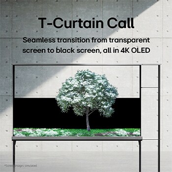 LG SIGNATURE OLED T 顯示被雪覆蓋的綠樹。