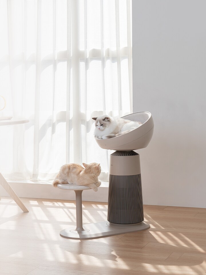 AeroCatTower Coming Soon