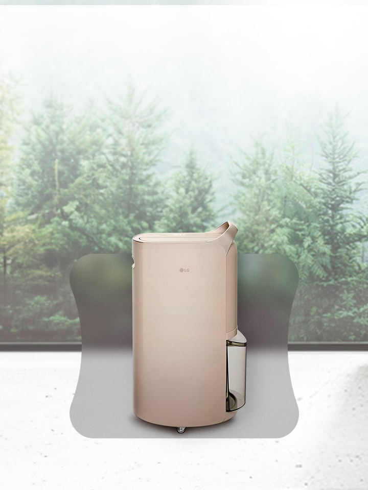 Dehumidifier Extra 10 % Off