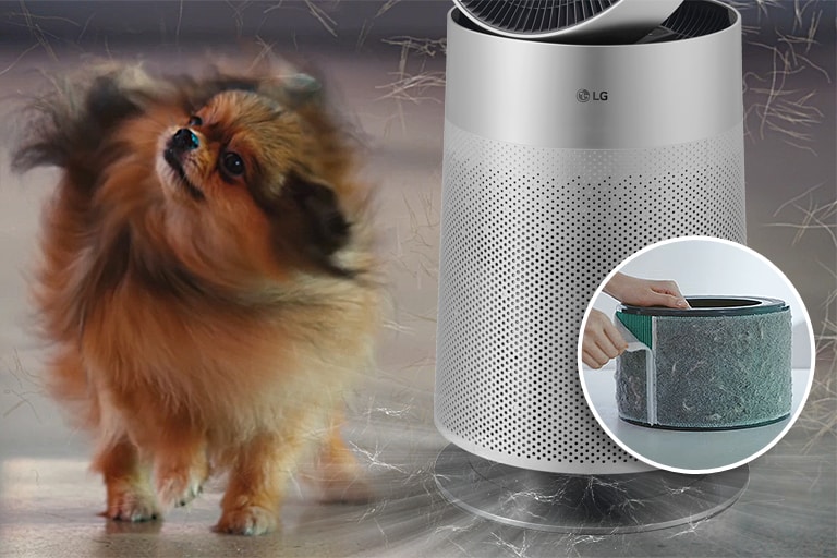 LG air purifier with a close-up of hands replacing the filter, capturing pet hair, beside a fluffy dog shedding fur.