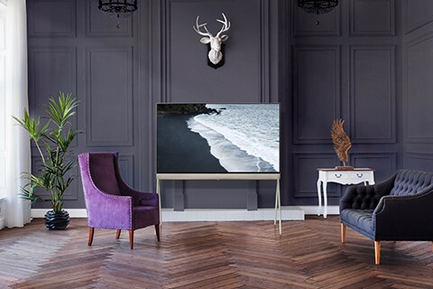 This image shows LG OLED Posé