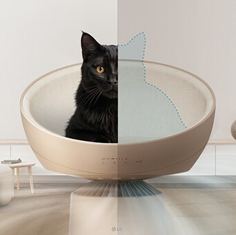Example screens for each cat relax mode	