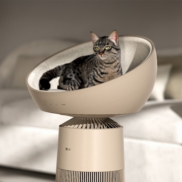 Video of an air purifier in the living room with a cat comfortably sitting on top	