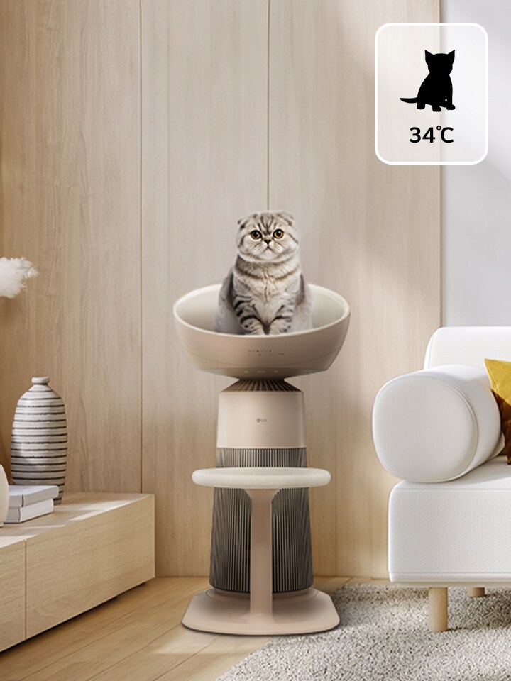 Image of baby cat sitting on a pet air purifier's heating seat (34°C) near a living room sofa.	