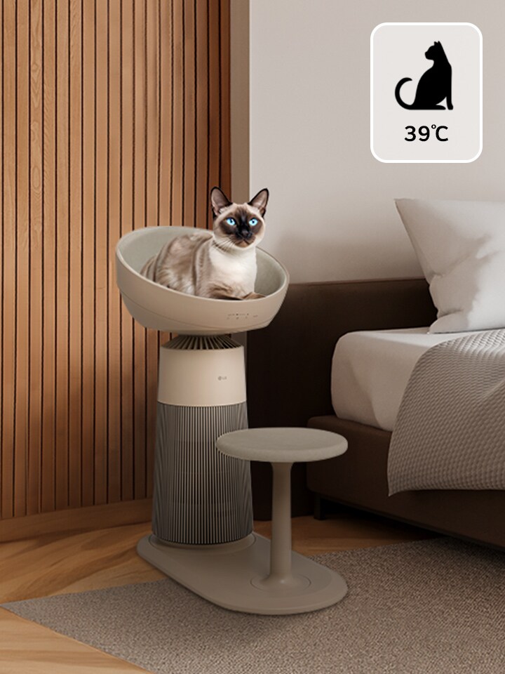 Image of adult cat sitting on a pet air purifier's heating seat (39°C) next to a bedroom bed.	