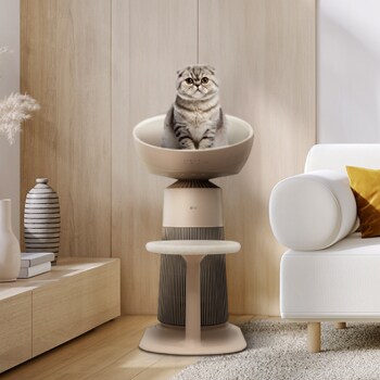 Image of a cat sitting on an air purifier sheet in the living room