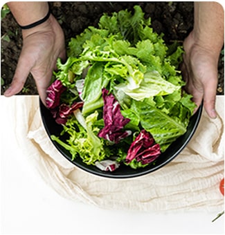 Hands holding a bowl filled with fresh vegetables on a table.