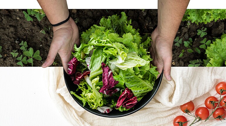 Bowl of fresh vegetables as if freshly harvested from a farm with the help of a refrigerator's cooling technology.