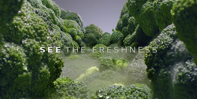 Close-up of fresh, green broccoli with mist, text "SEE THE FRESHNESS" centered over the image.