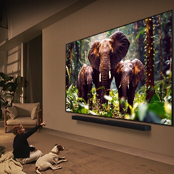 A girl and a dog are seated in front of a LG QNED TV mounted on a wall depicting three elephants walking outwards above a LG Soundbar. The title talks about how every action is more thrilling on a massive screen.