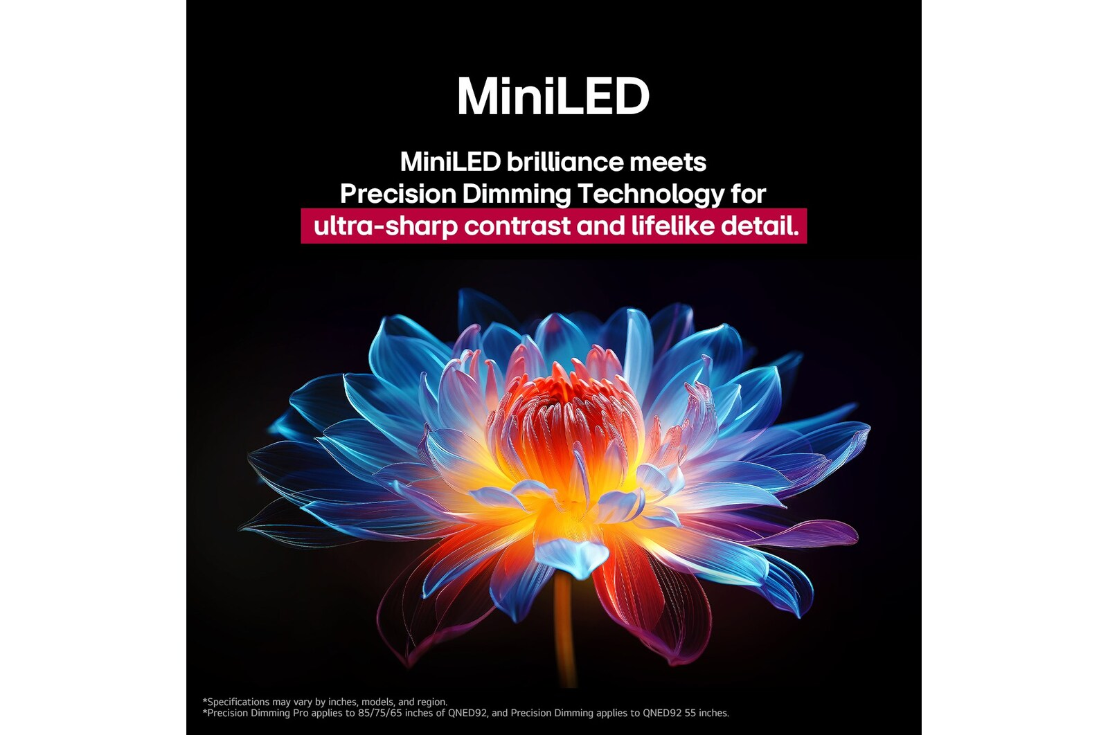 3D holographic flower in many different shades and hues against a black background. The definition and detail of the flower shows off QNED MiniLED's capability to produce visuals with exceptional color, brightness, and contrast. The title talks about how MiniLED and enhances clarity and provides exceptional contrast.