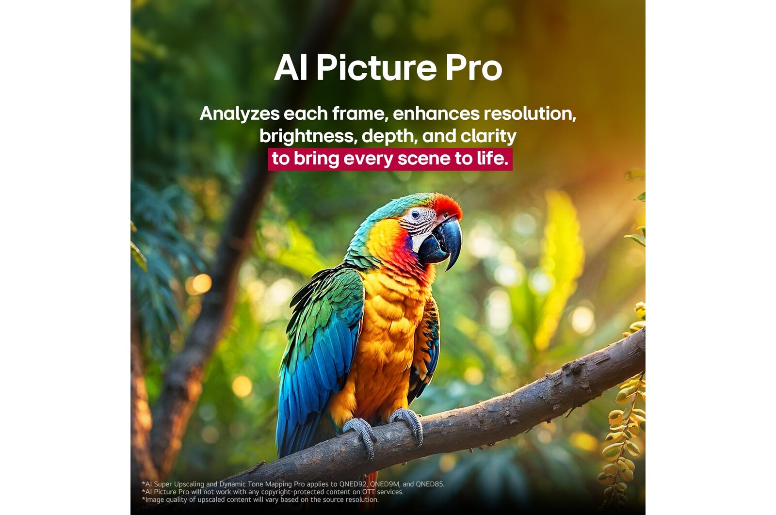 Parrot on a tree branch in vivid color. The title talks about how LG Al Picture Pro made impressive visual enhancements to the scene's resolution, brightness, depth, and clarity.