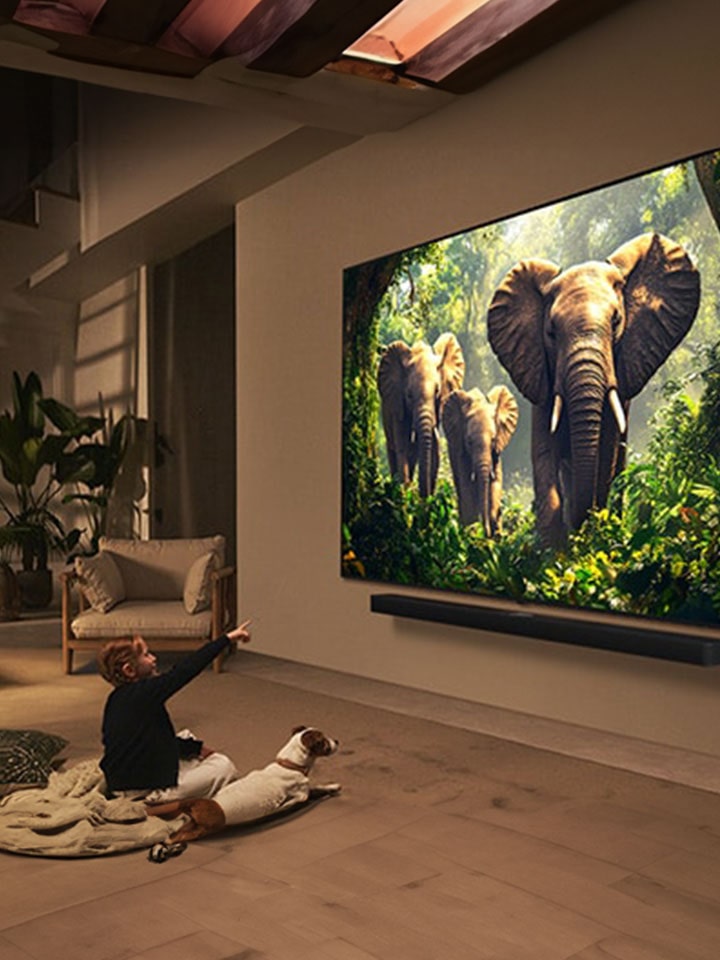 LG channel