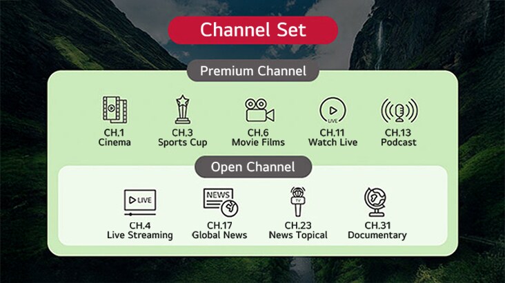 TV channels provided by the solution can be categorized into groups based on their types. This includes setting up both standard TV channels and additional channels exclusive to premium customers.